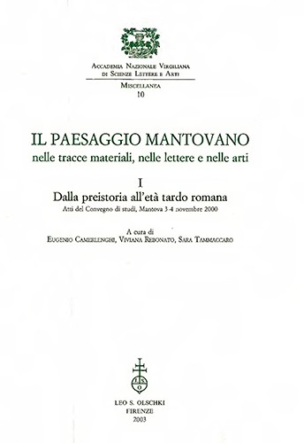 9788822251411-Il Paesaggio mantovano nelle tracce materiali, nelle lettere e nelle arti. I. Da