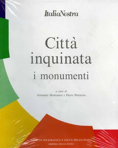 9788824032117-Città inquinata. I Monumenti.