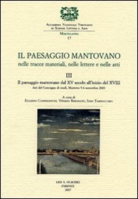 9788822256201-Il paesaggio mantovano nelle tracce materiali, nelle lettere e nelle arti. Vol.