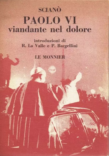 Paolo VI viandante nel dolore.