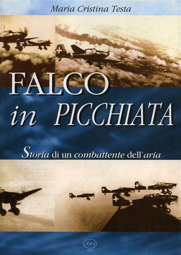 Falco in picchiata. Storia di un combattente dell'aria.