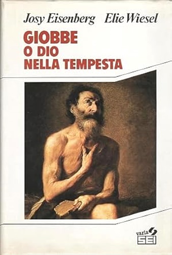 9788805050635-Giobbe, o Dio nella tempesta.