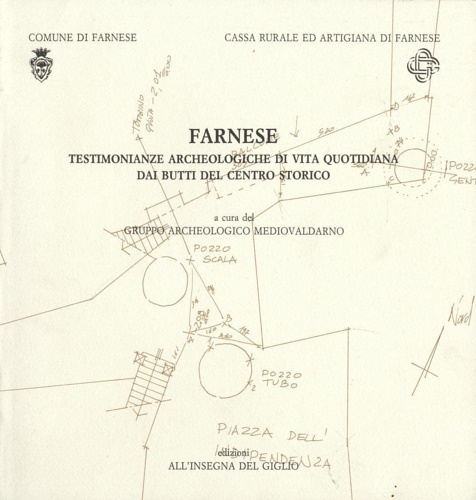 9788878140615-Farnese. Testimonianze archeologiche di vita quotidiana dai butti del centro sto