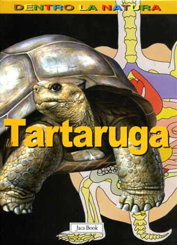 9788816572539-La tartaruga.