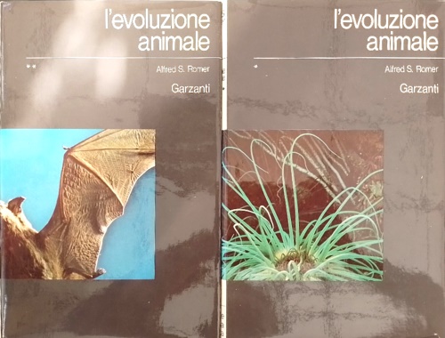 L'evoluzione animale.