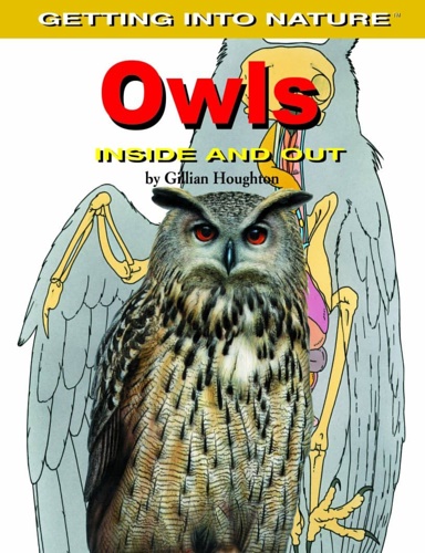 9780823942084-Owls. Inside and out.