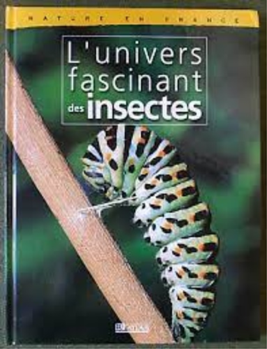 Nature en France : L'univers fascinant des insectes.