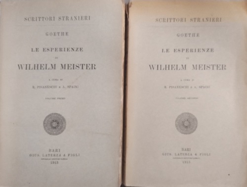 Le esperienze di Wilhelm Meister.