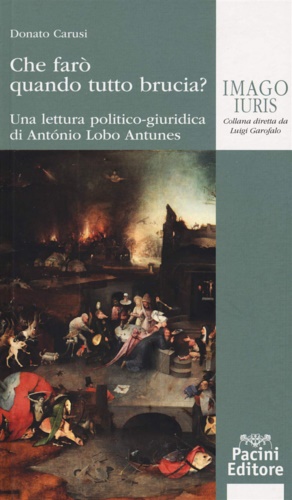 9788833790367-Che farò quando tutto brucia? Una lettura politico-giuridica di Antonio Lobo Ant