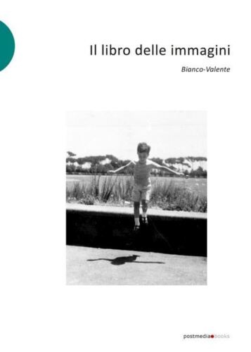 9788874902620-Il libro delle immagini.