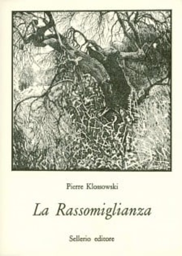 9788838904479-La Rassomiglianza.