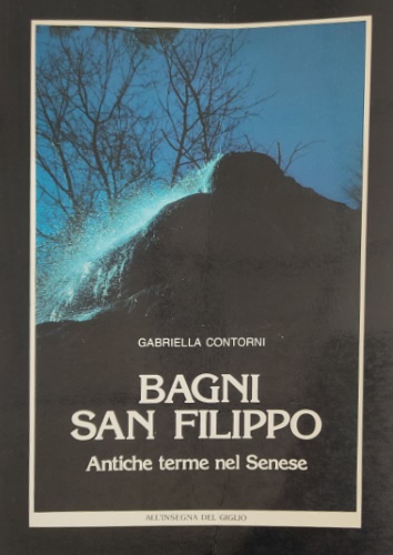 9788878140929-Bagni San Filippo. Antiche terme nel Senese.