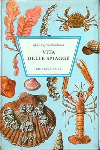 Vita delle spiagge.