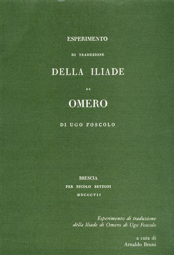 Esperimento di traduzione della Iliade di Omero.