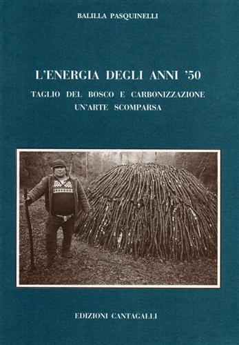 L'energia degli anni '50. Taglio del bosco e carbonizzazione. Un'arte scomparsa.