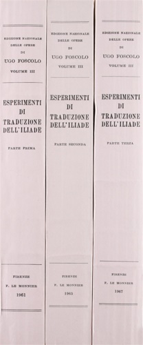 Esperimenti di traduzione dell'Iliade.