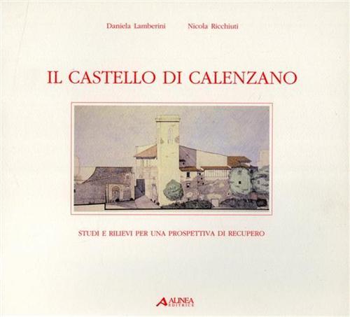 Il Castello di Calenzano. Studi e rilievi per una prospettiva di recupero.