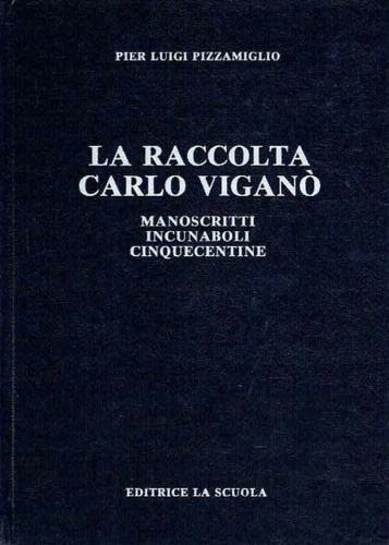 La raccolta Carlo Viganò. Rassegna di storia delle scienze matematiche e fisiche