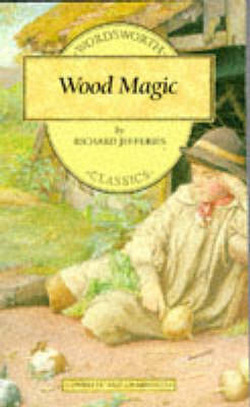 9781853261534-Wood Magic.